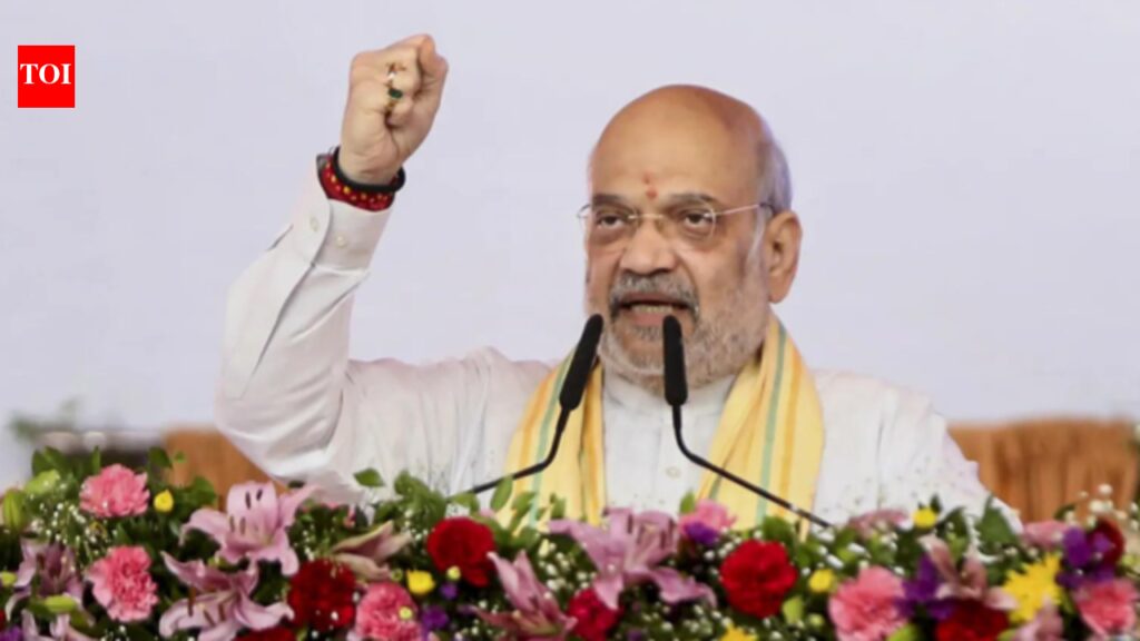 ‘Not a single Hindu refugee will lose citizenship’: Amit Shah in poll-bound West Bengal | India News