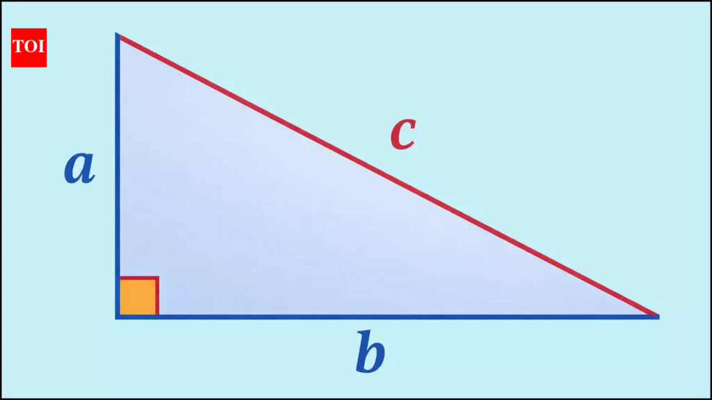 Pythagorean Theorem Origin: The peacock, the pillar and a theorem – How ancient Indian scholars knew the triangle rule before Pythagoras |