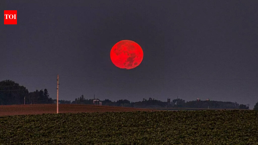 Why the Moon turns red during a total lunar eclipse: The physics behind a Blood Moon |