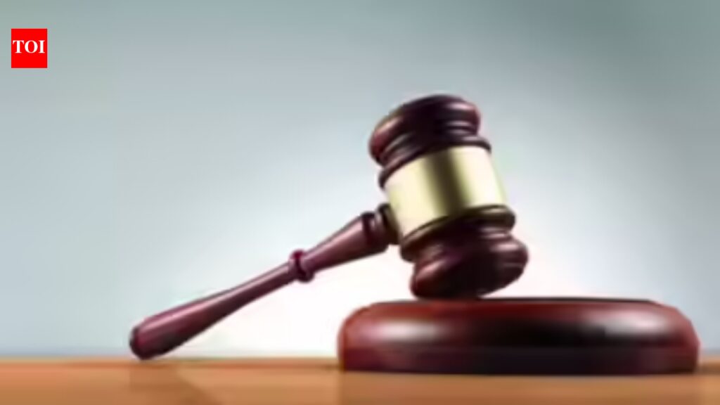 HC to Sambhal DM, SP: Quit if you can’t enforce rule of law | India News