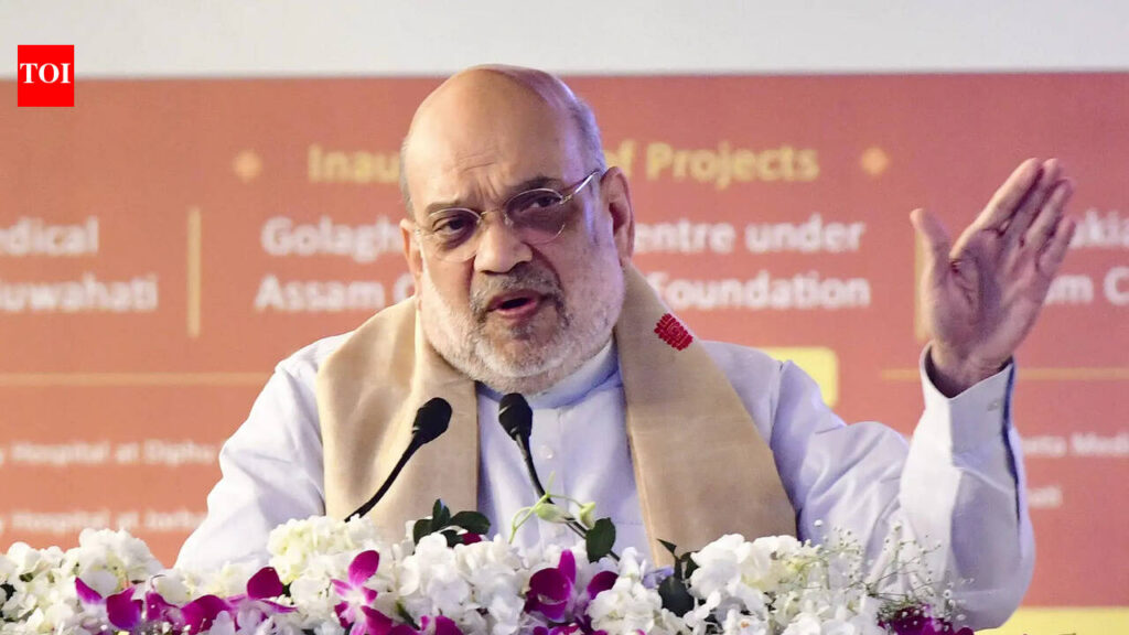 ‘Rahul Gandhi defaming India’: Amit Shah on Youth Congress’ shirtless protest at Delhi AI summit | India News