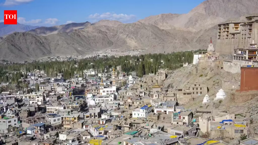 Ladakh bodies ask protesters to raise only approved slogans, not to cover face | India News