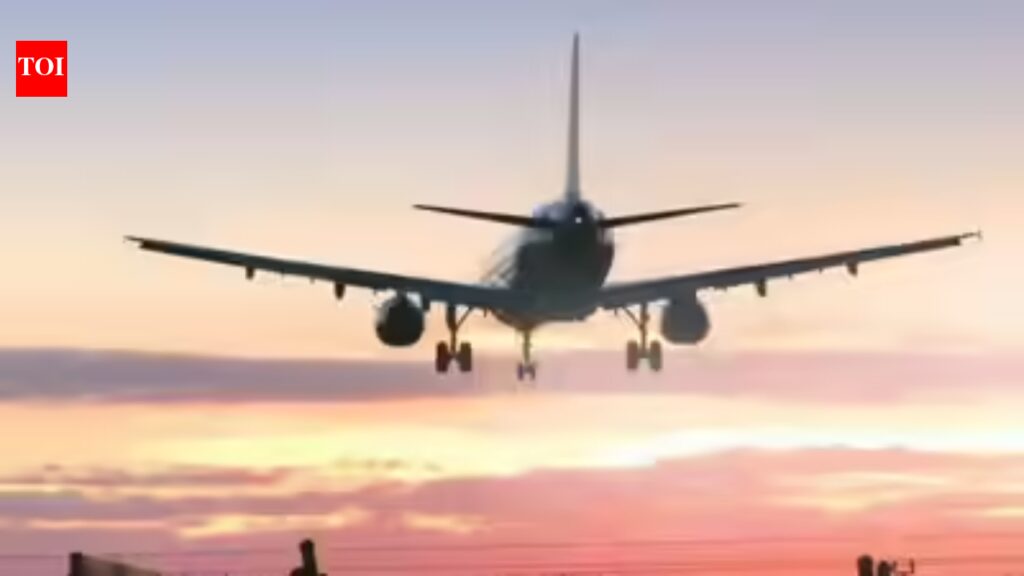 Govt may review bilaterals as international airfares defy gravity | India News