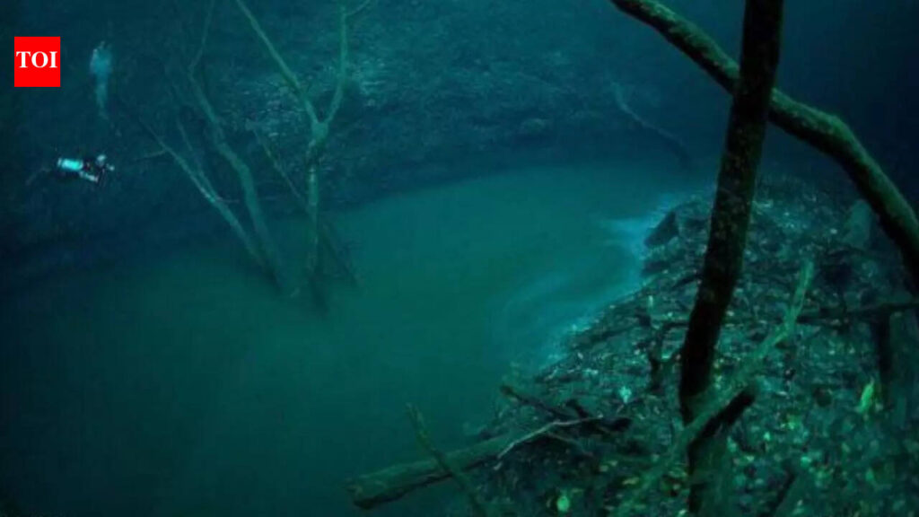 The ‘sixth largest river’ on Earth is hidden 115 feet beneath the Black Sea |