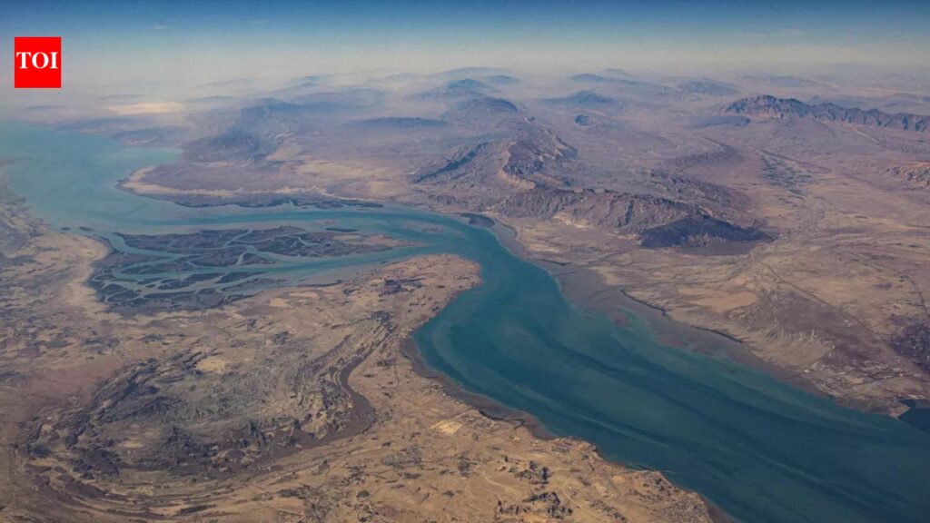 Over 20 nations issue joint statement condemning Iran’s de facto closure of Hormuz Strait