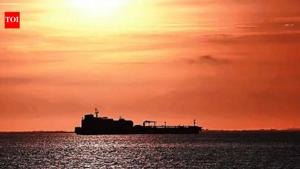 A harrowing time but home at last, recalls crew member of Indian-flagged ship | India News