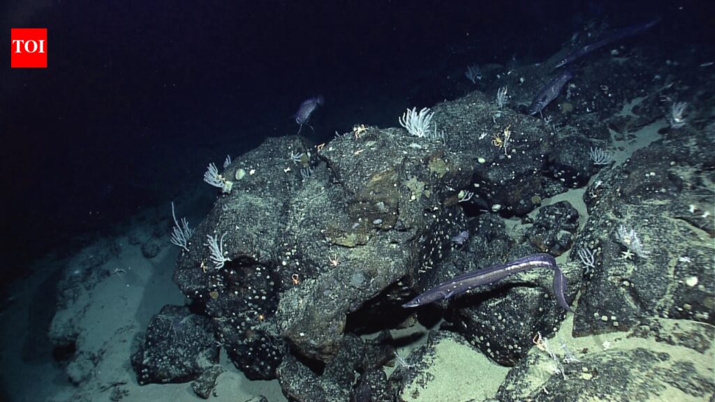 NASA’s seafloor map: How scientists mapped the ocean floor from space |