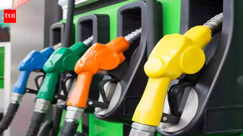Govt cuts excise duty to Rs 3 a litre on petrol, to nil on diesel amid Middle East tensions