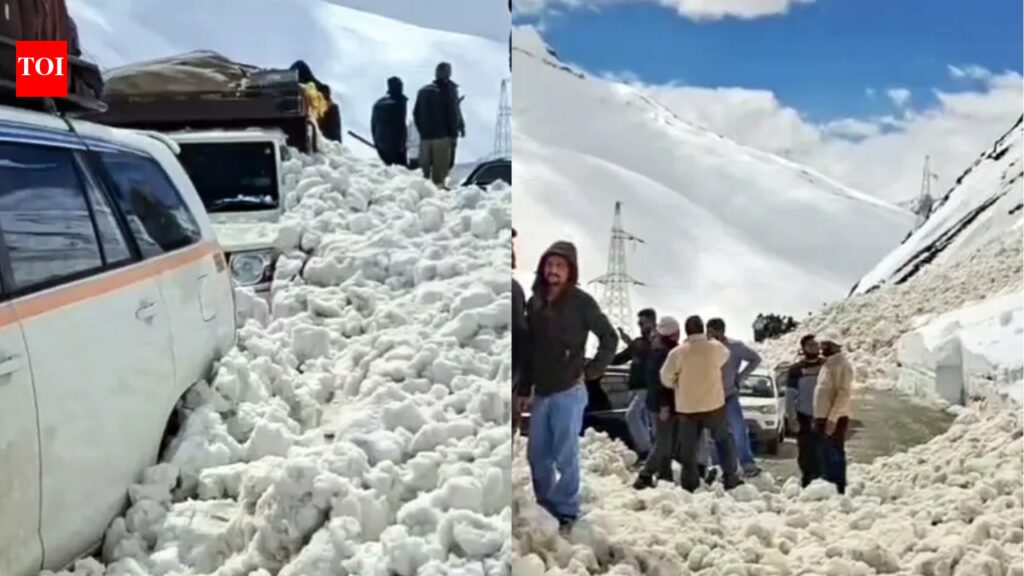 Avalanches at Zoji La pass: 7 killed, 5 injured in Ladakh; Srinagar-Leh highway blocked | India News