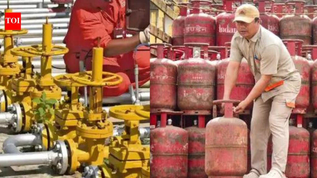 ‘Big thanks’: 6,000 PNG users surrendered their LPG connections, says govt | India News