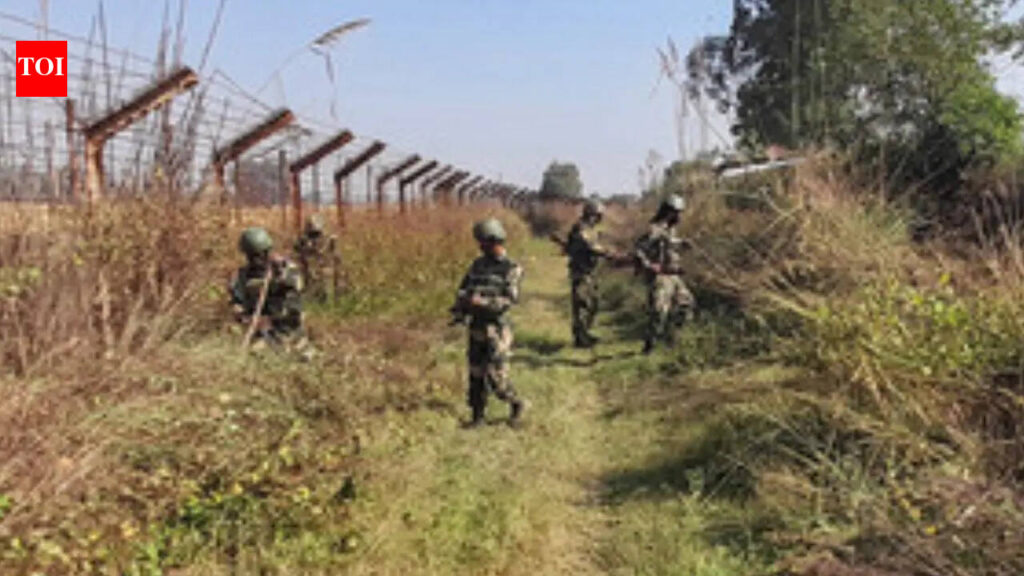Two BSF personnel injured in assault in J-K’s Samba | India News