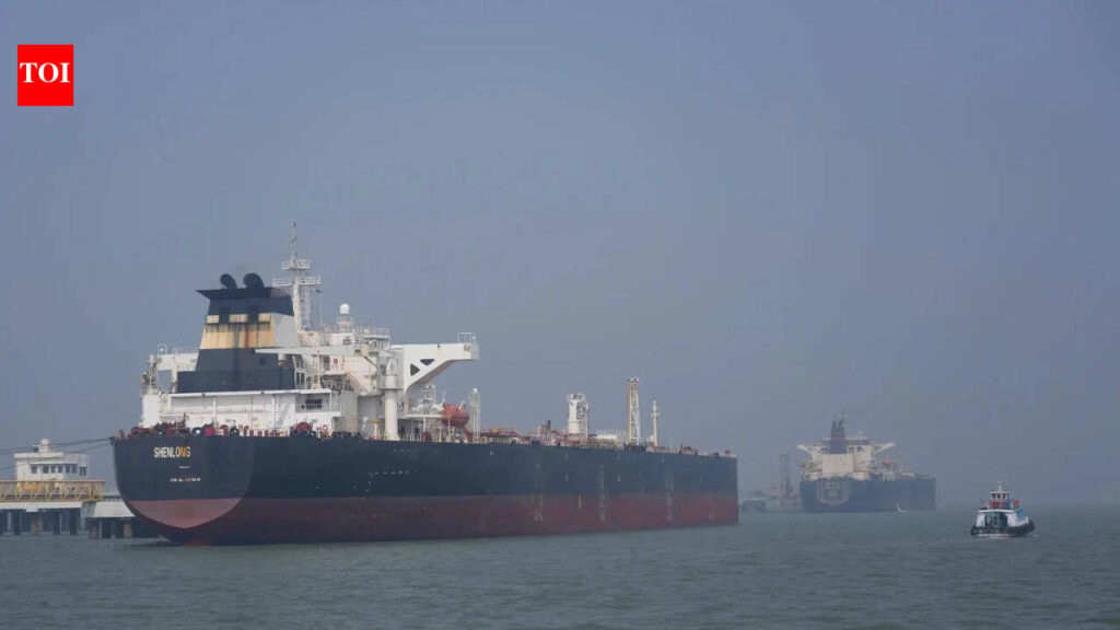 10 India-bound ships carrying energy cargo stuck in Persian Gulf | India News