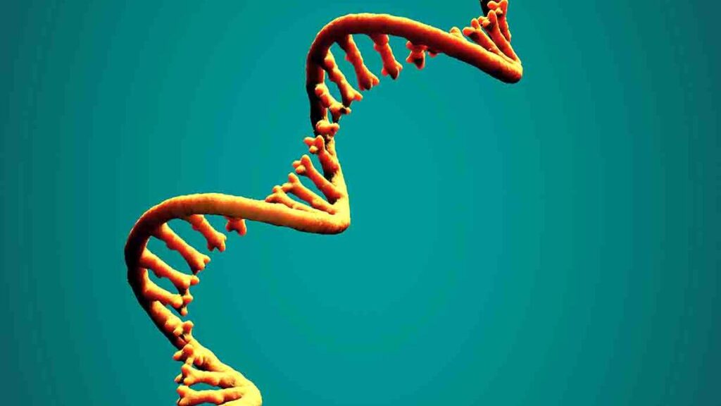 What is extracellular RNA? – The Hindu