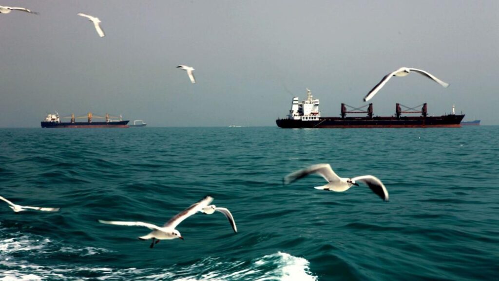 West Asia war: how finding oil changed the Persian Gulf’s ecology