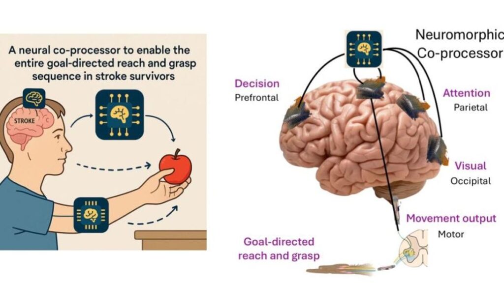 IISc and Pratiksha Trust launch moonshot project on brain co-processors