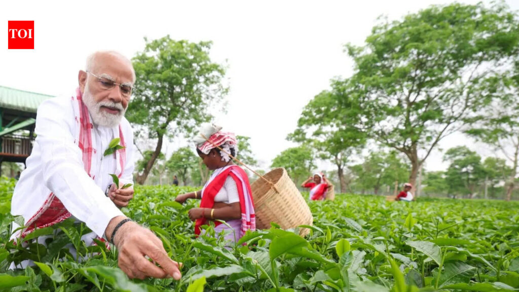 PM Modi visits Assam tea garden, plucks leaves, takes selfies with workers, calls it ‘memorable experience’ | India News