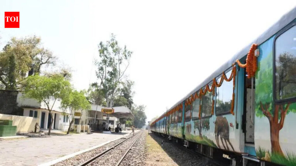 Reviving a heritage lifeline: Mailani-Nanpara meter gauge set for upgrade | Lucknow News