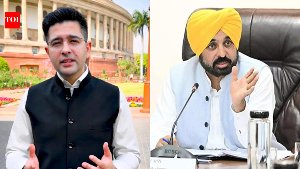 Won’t be cowed, says Raghav, AAP brass says he indulged in ‘soft PR’ | India News