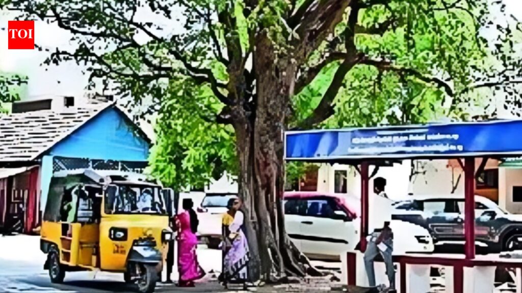 A village that rejects freebies & doesn’t allow political advertisements | India News