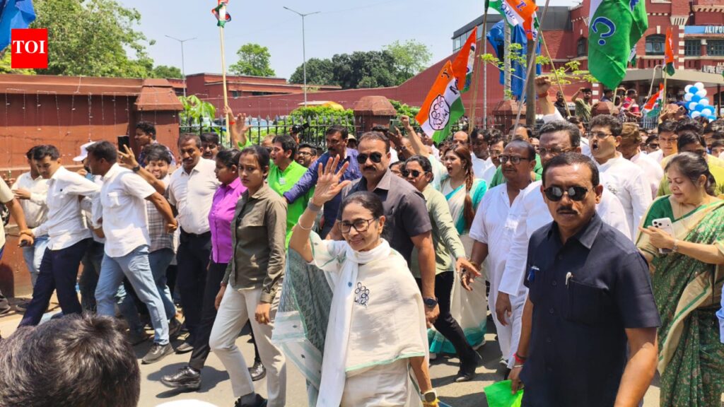 Bengal polls: CM Mamata Banerjee files nomination from Bhabanipur constituency, rakes up SIR issue | India News