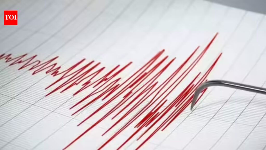 Assam earthquake: Magnitude 4.3 tremor hits Cachar district | India News