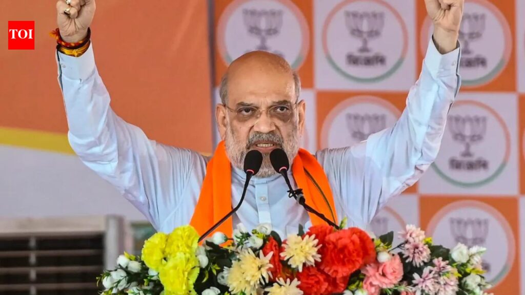 Won’t divide Bengal, will solve Gorkha issue in a constitutional manner: Shah | India News