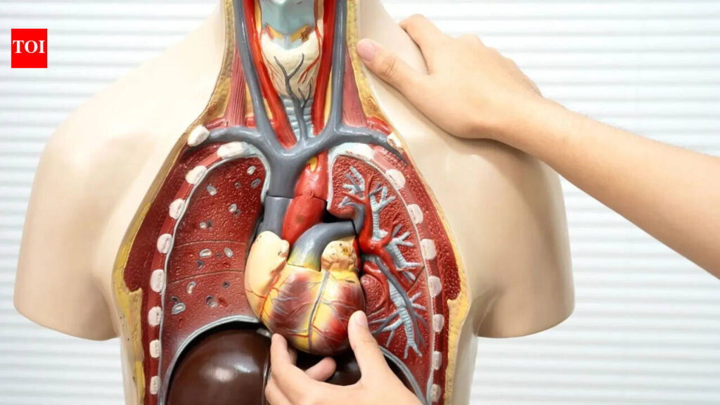 Organ Stress: No symptoms, real risk: Subtle signs of organ stress most people ignore and how to prevent damage