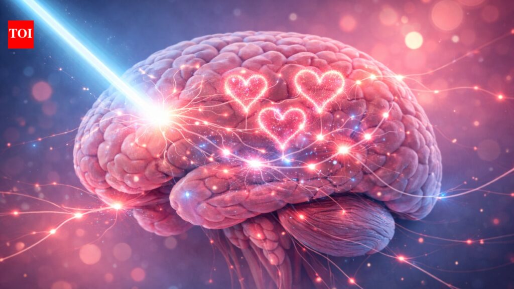 Scientists create a ‘light switch’ for the love hormone: How it could change how humans love and form bonds |
