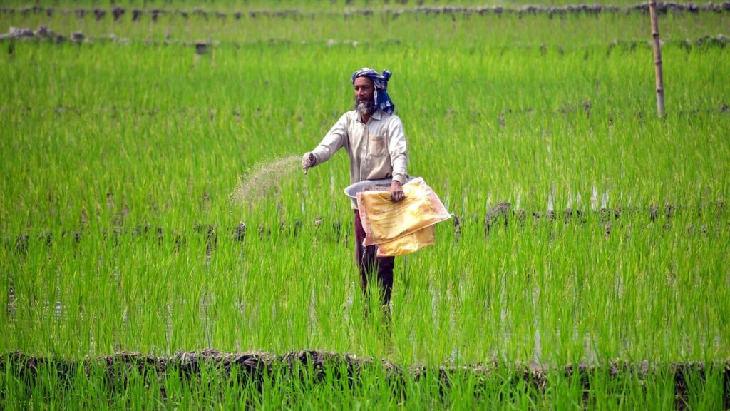 Fuel, fertiliser prices may remain high for prolonged period: IMF, World Bank, IEA