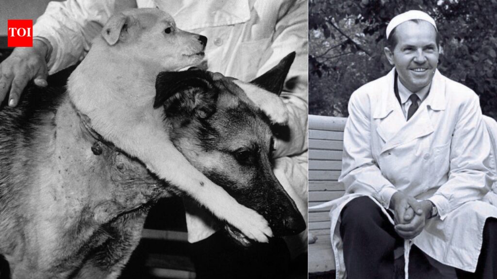 Meet Vladimir Demikhov: Scientist who created a two-headed dog and changed medicine forever |