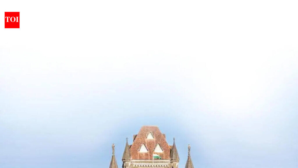 Bombay HC says wife not a ‘deemed maid’, failing to do chores, not cruelty | Mumbai News