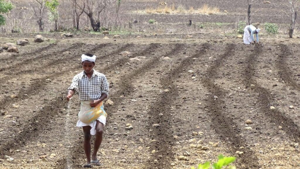 Improving efficiency of fertilizer use in India