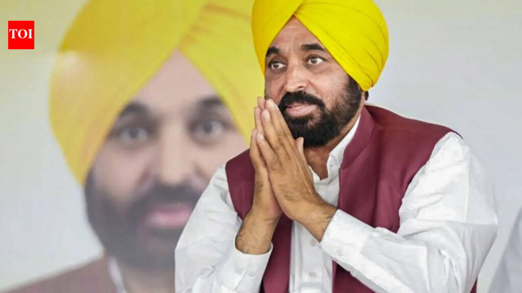 Punjab Aims to Be India’s Startup Capital: Bhagwant Mann’s Vision | India News