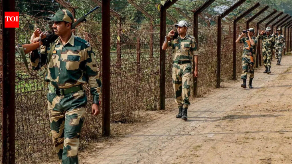 Borders to get anti-drone walls to curb arms & drugs smuggling | India News