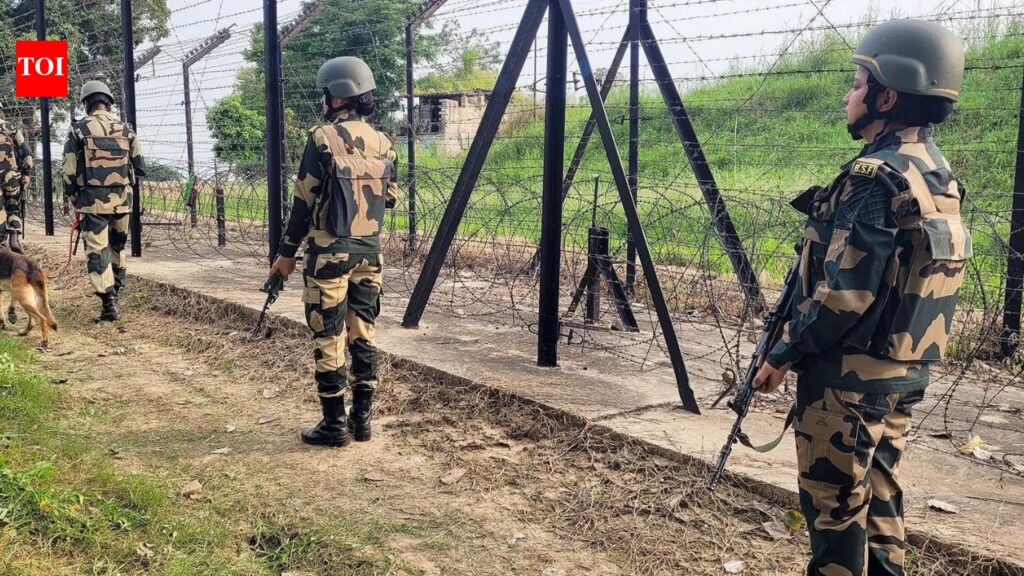 ‘Human shield’ on India border: Bangladesh opposition to launch protest over alleged ‘push-ins’
