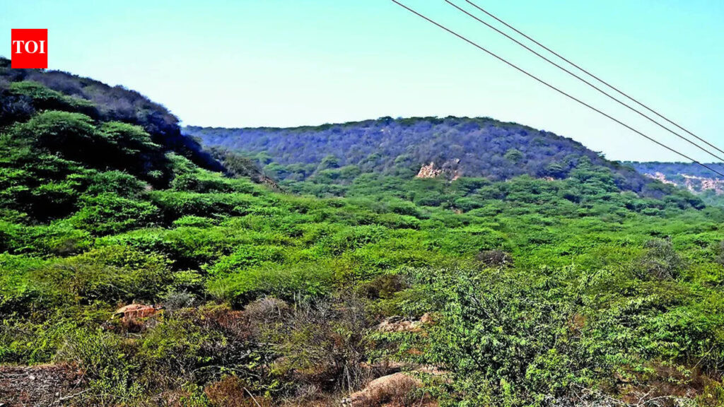 NCZ restoration puts focus on delayed mapping of Aravali, conservation zones