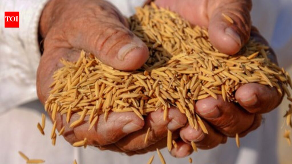 No dip in grain output in last 2 deficit rain years | India News