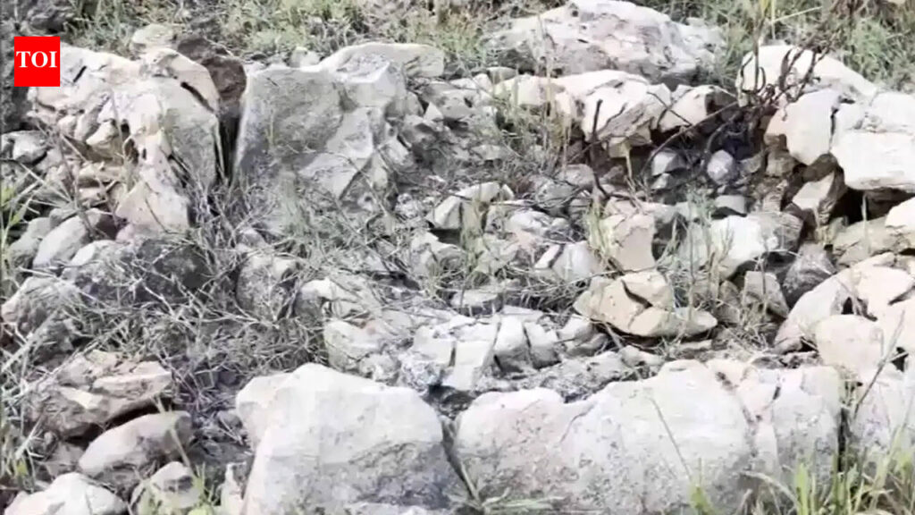 Miocene Epoch Fossils: 15-million-years old shark fossils discovered by Odisha teacher and students on a random field visit, locals called them ‘Asura Hadda’