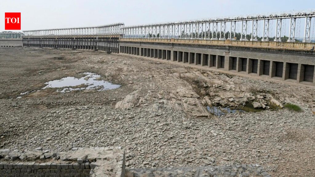 Water in 166 major reservoirs dips to 28% of storage capacity | India News