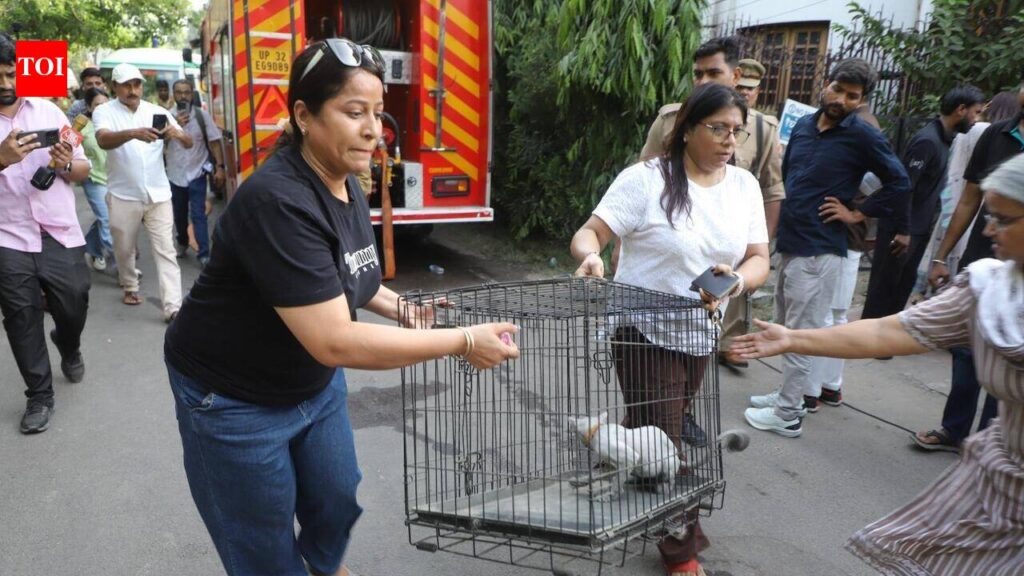 Hearts break as pets perish in blaze | Lucknow News