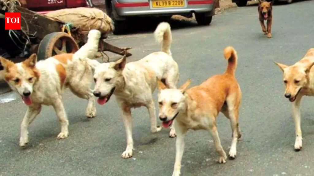 Pack of stray dogs attack 10-year-old boy cycling in Faridabad society; hospitalised | India News