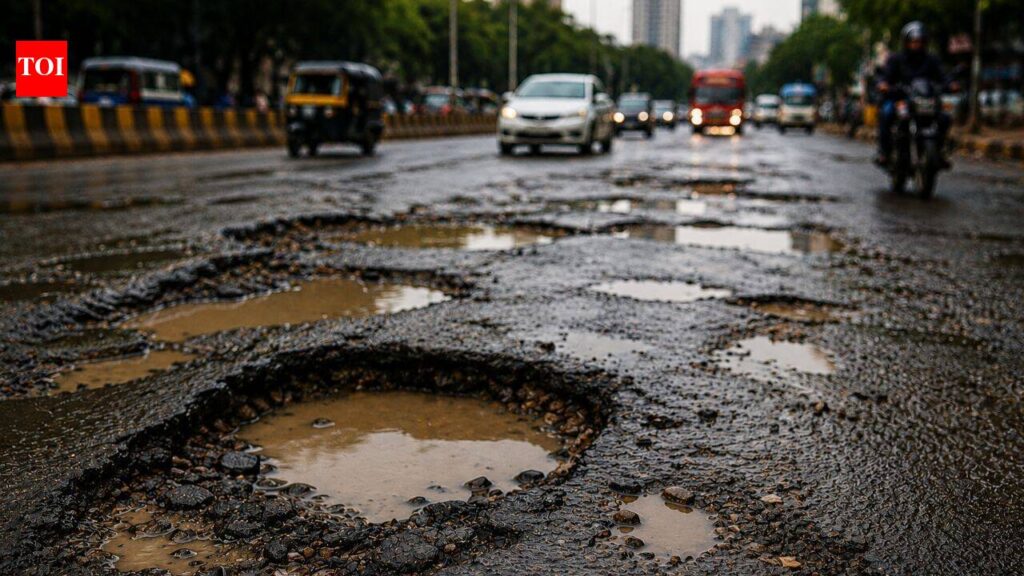 ‘BMC must wake up now’: Bombay HC raps civic body over potholes, open manholes