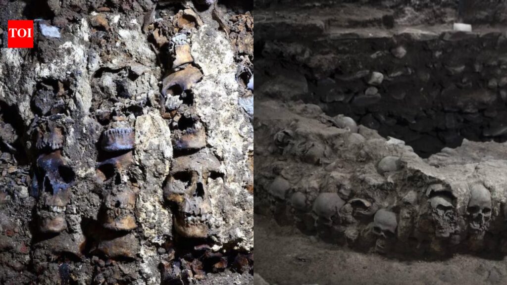 Spanish conquerors described a terrifying tower made of thousands of human skulls, historians thought it was propaganda, then archaeologists found it beneath Mexico City | World News