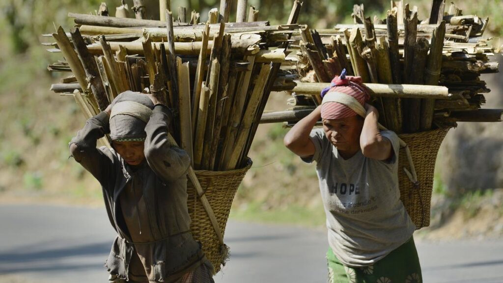 Not binary: India can save its forests by winning the war on poverty