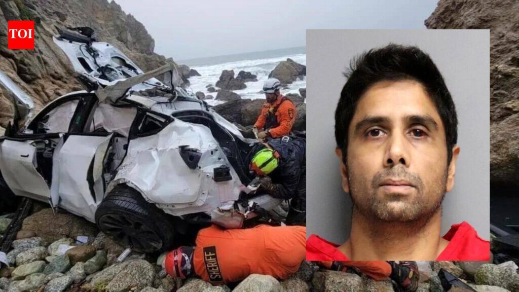 Dharmesh Patel: Desi doctor who drove his family off a cliff in California walks free after therapy