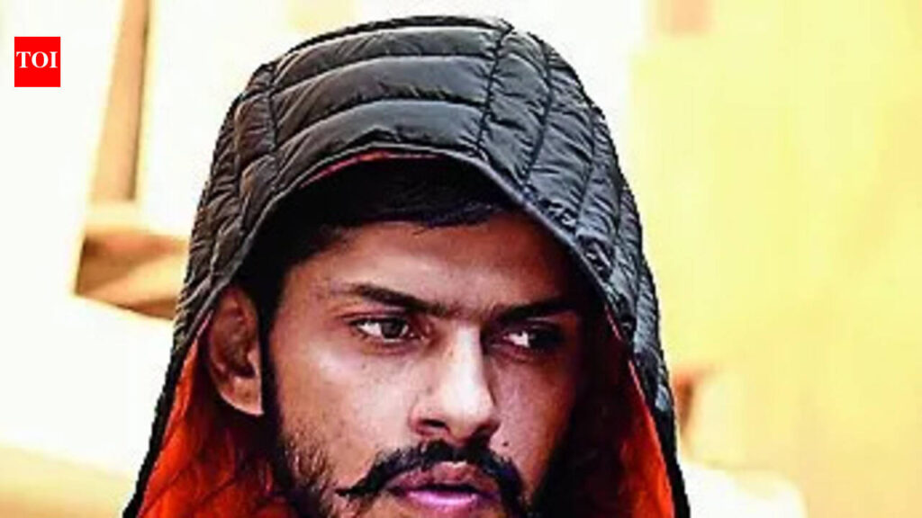 US indictments underscore the heavy footprint of Punjab gangs | India News