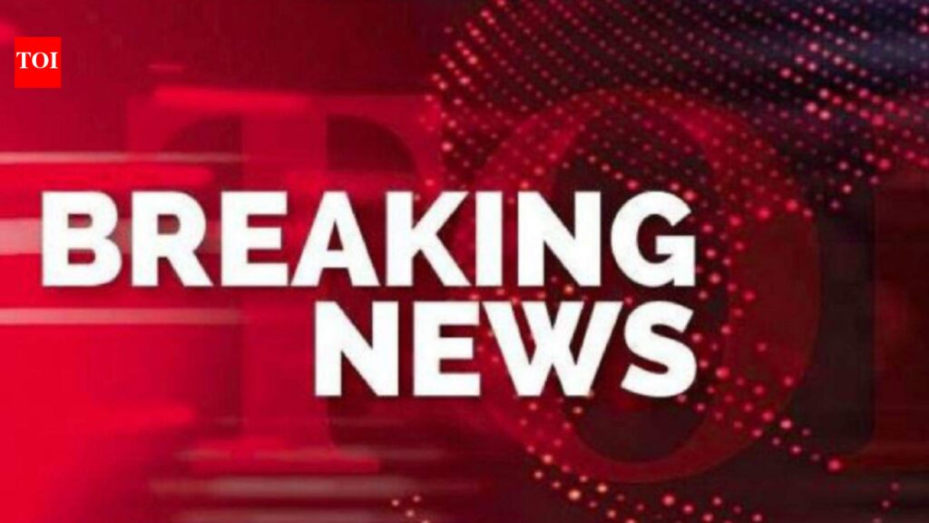Boat carrying several Indian tourists capsizes in Vietnam; rescue ops under way | India News
