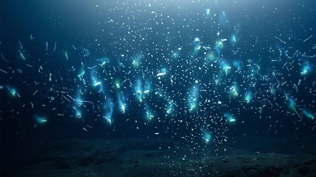 Scientists say crushing deep-ocean pressure squeezes hidden nutrients out of sinking marine snow, feeding microbes and changing what we know about Earth’s carbon cycle