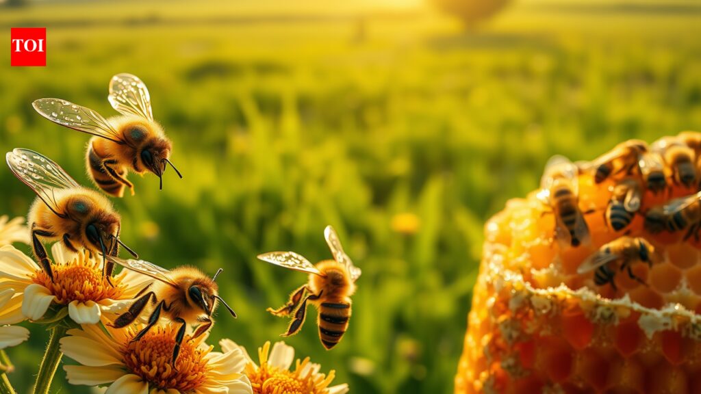 Scientists tagged thousands of bees and found that just a few do most of the work in every hive |