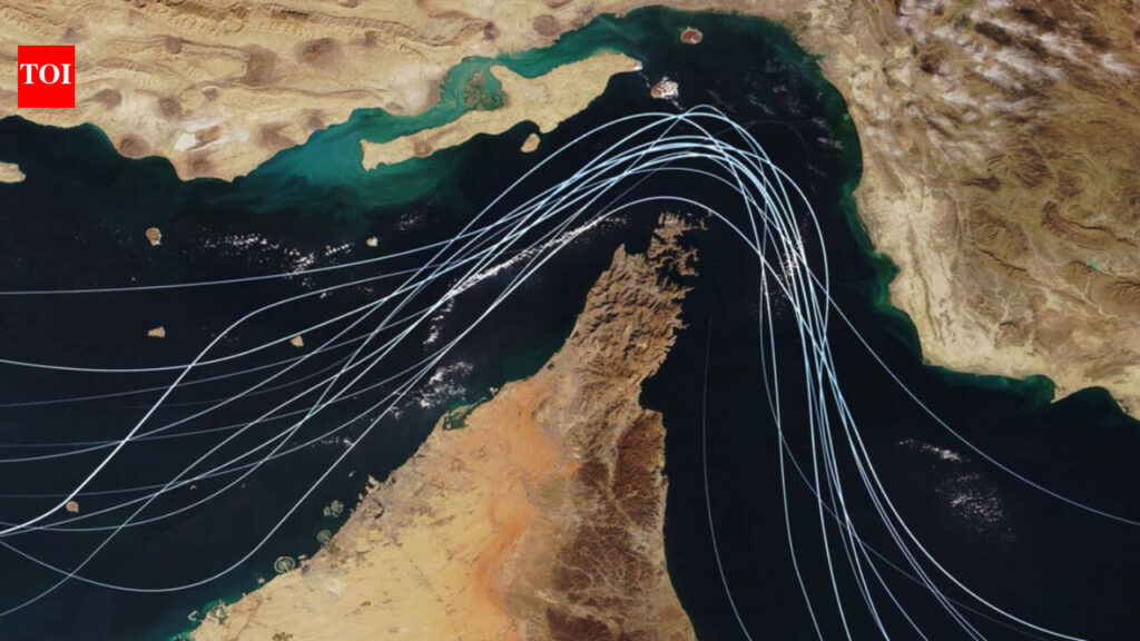 ‘Avoid deploying Indian seafarers on vessels that will cross Hormuz’: Centre’s advisory to ship owners as Gulf tensions reignite